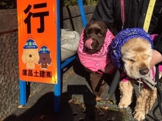 大蔵さん現場くら.jpg